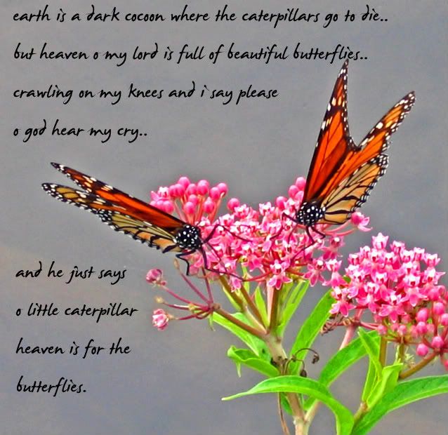 Heaven Is For The Butterflies Photo by terea_photographyII Photobucket